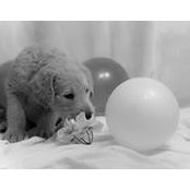 Jon N Misti Hightshoe's photo