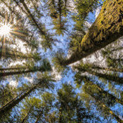 Dmitry Makarov's photo