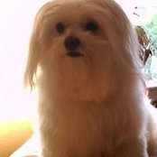 Foto de Ellen Phillips