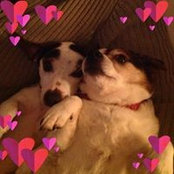 Barbara Allen's photo