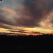 Mickey Henderson's photo