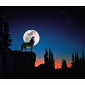 Minales Robins's photo