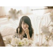 Photo de Chó Thỏ