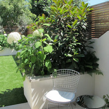 Patio Ideas