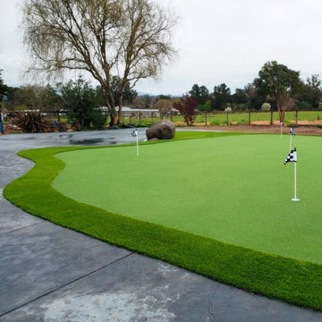 PROFESSIONAL PUTT - $2.65 / SF.