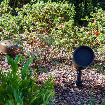 Patio/Outdoor Systems