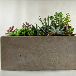 Light Concrete Planter - Products