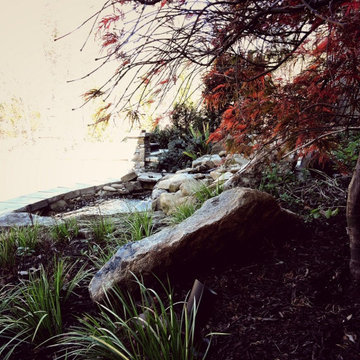 Custom Landscapes