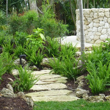 Miami Tropical Landscape