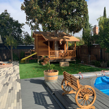 San Jose Treehouse
