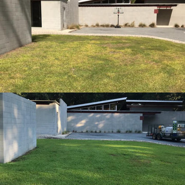 Lawn Health Program Results