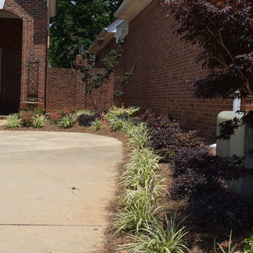 Andrews Landscape