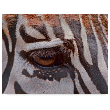Galloimages Online 'Zebra Eye' Canvas Art, 32"x24"