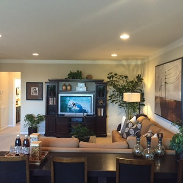 Loft and Game room in Temecula