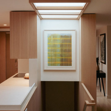 Begun/Weissman Remodel