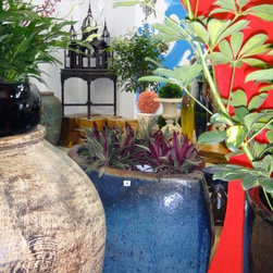 Container gardening - Products