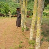 Wannee Rabuphon's photo