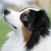 Robin Paboojian's photo