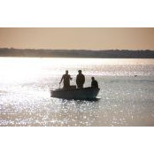 Michael Gorman's photo