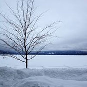 Tracy Watts's photo
