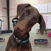 Curtis McMillin's photo