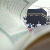 محمد علي محمد's photo