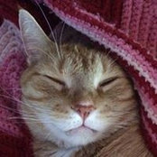 Nanette Thorson's photo