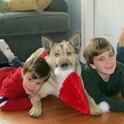 Amy Sullivan's photo