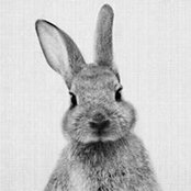 Christian Bengs's photo