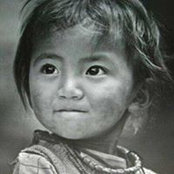 Foto von Wei Han