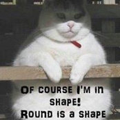 Amanda Bate's photo
