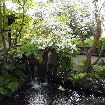 Waterfall, Pond & Flowers