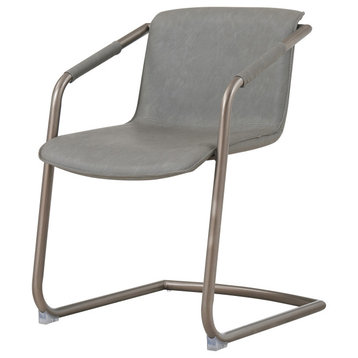 Zabrina Side Chair Silver Frame, Antique Graphite (Set Of 2)
