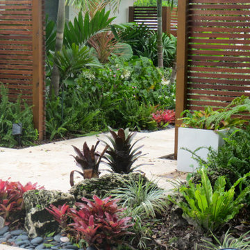 Caribbean Landscaping plants