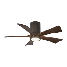 Fans