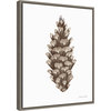 Canvas Art Framed 'Peace and Joy Pinecone' by Sara Zieve Miller, 16x20"