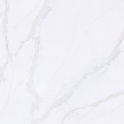 Eternal Calacatta Gold Swatch