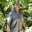 Karen Ford Landscape Architect, ASLA, LEED AP BD&C
