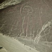 Iain Tedbury's photo