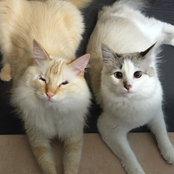 Danna Parsons's photo