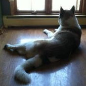 Kerry Parrish's photo