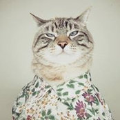 Alexandre Charlier's photo