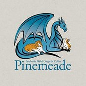 Pinemeade Registered's photo