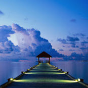 Foto de Devon Wilt
