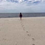 Sandi Milligan's photo