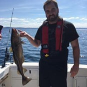 Mike Turner's photo