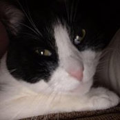 Miriam Keiser Weygant's photo