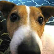 Sharon Wells's photo