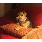 Trudy Bogacik's photo
