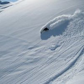 Troy Werelius's photo